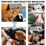 Pet First Aid Kit for Dogs & Cats - Pet Emergency Kit with Pet Comb First Aid Supplies for Home Camping Hiking Traveling Hunting and Sports - Image 6