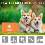 Pet First Aid Kit for Dogs & Cats - Pet Emergency Kit with Pet Comb First Aid Supplies for Home Camping Hiking Traveling Hunting and Sports - Image 9